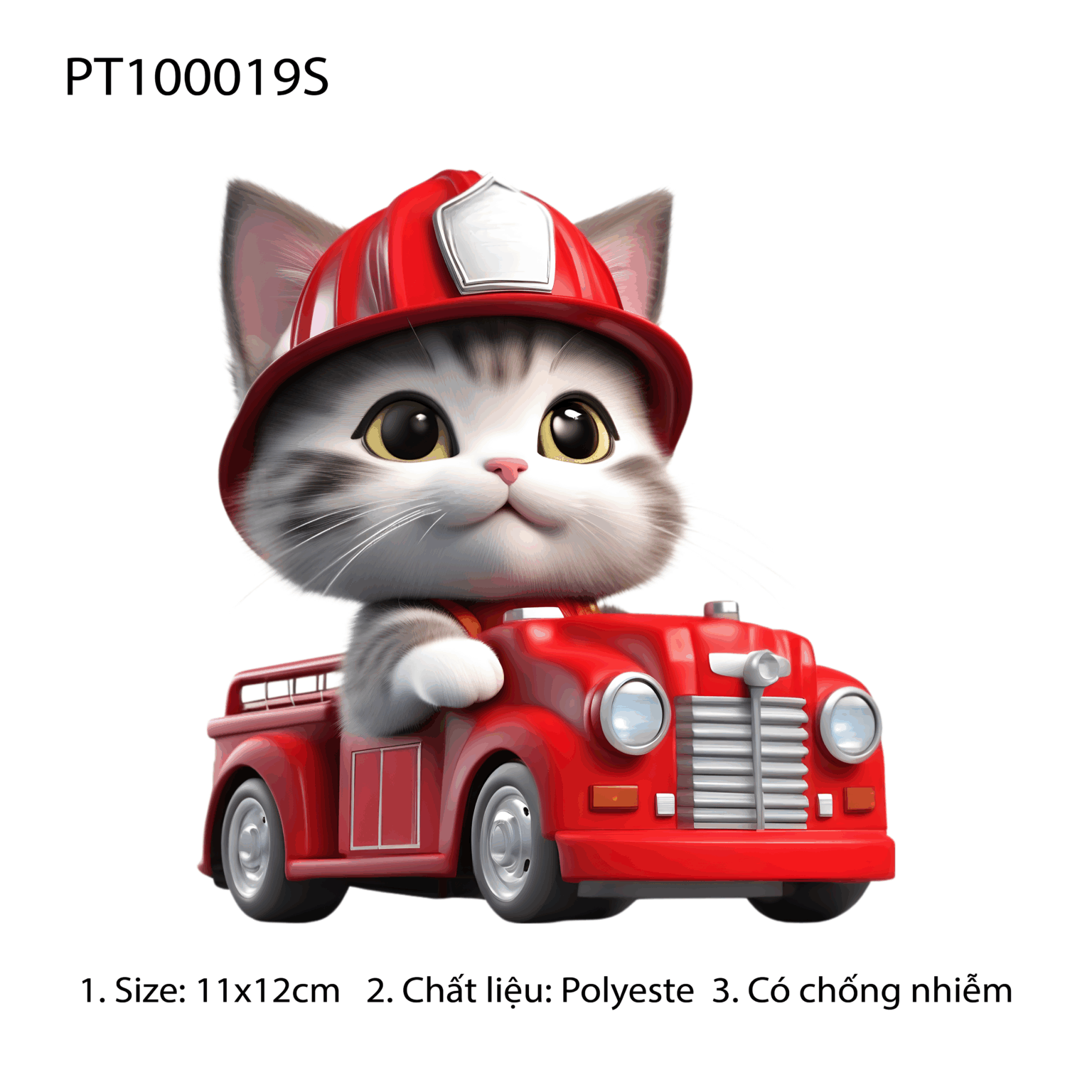 PT100019S