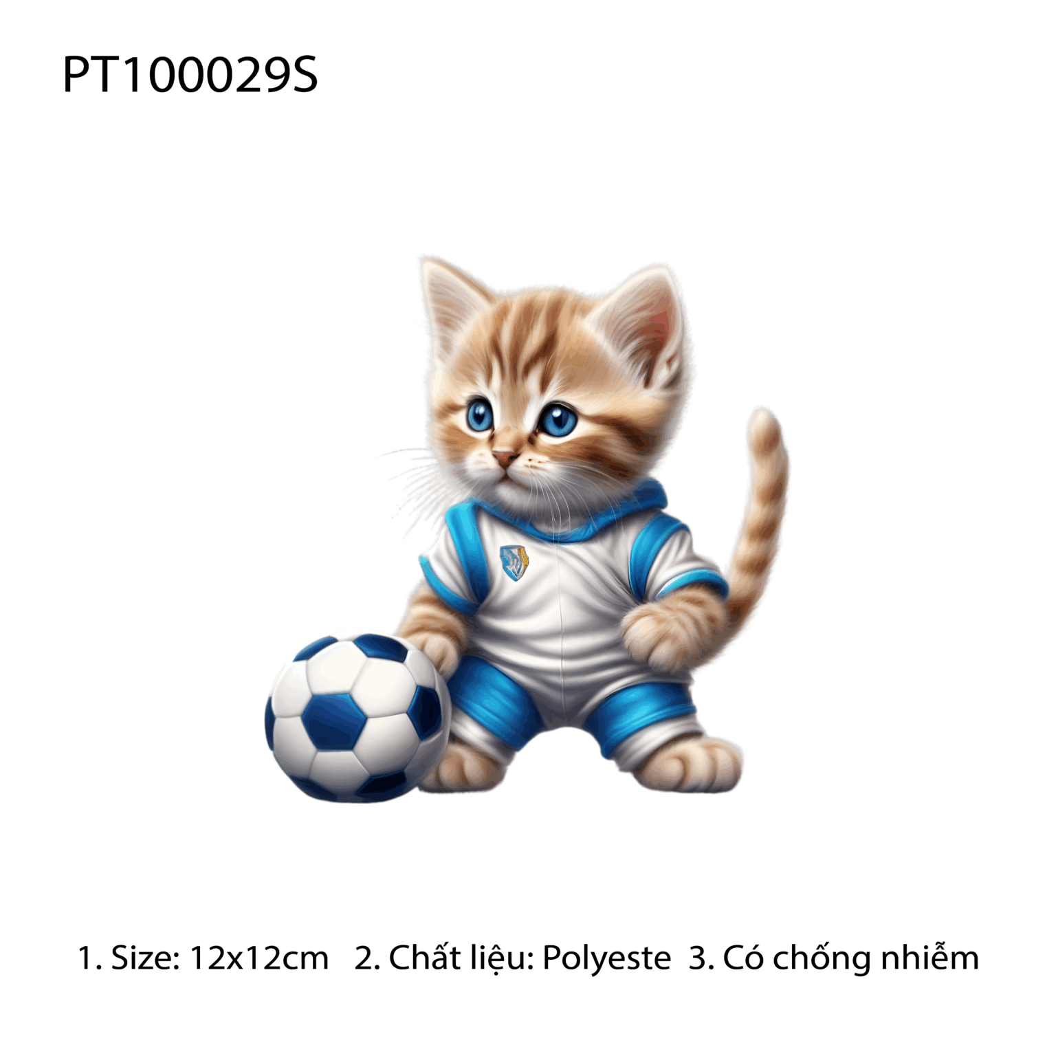 PT100029S