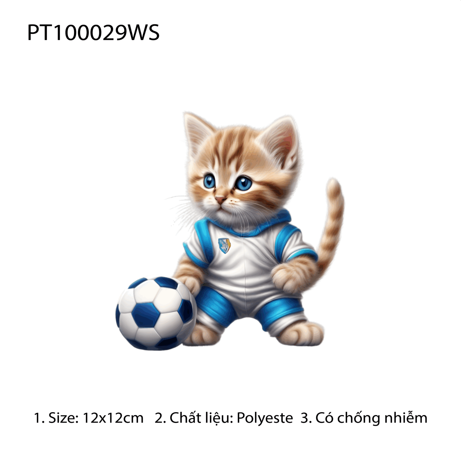 PT100029WS
