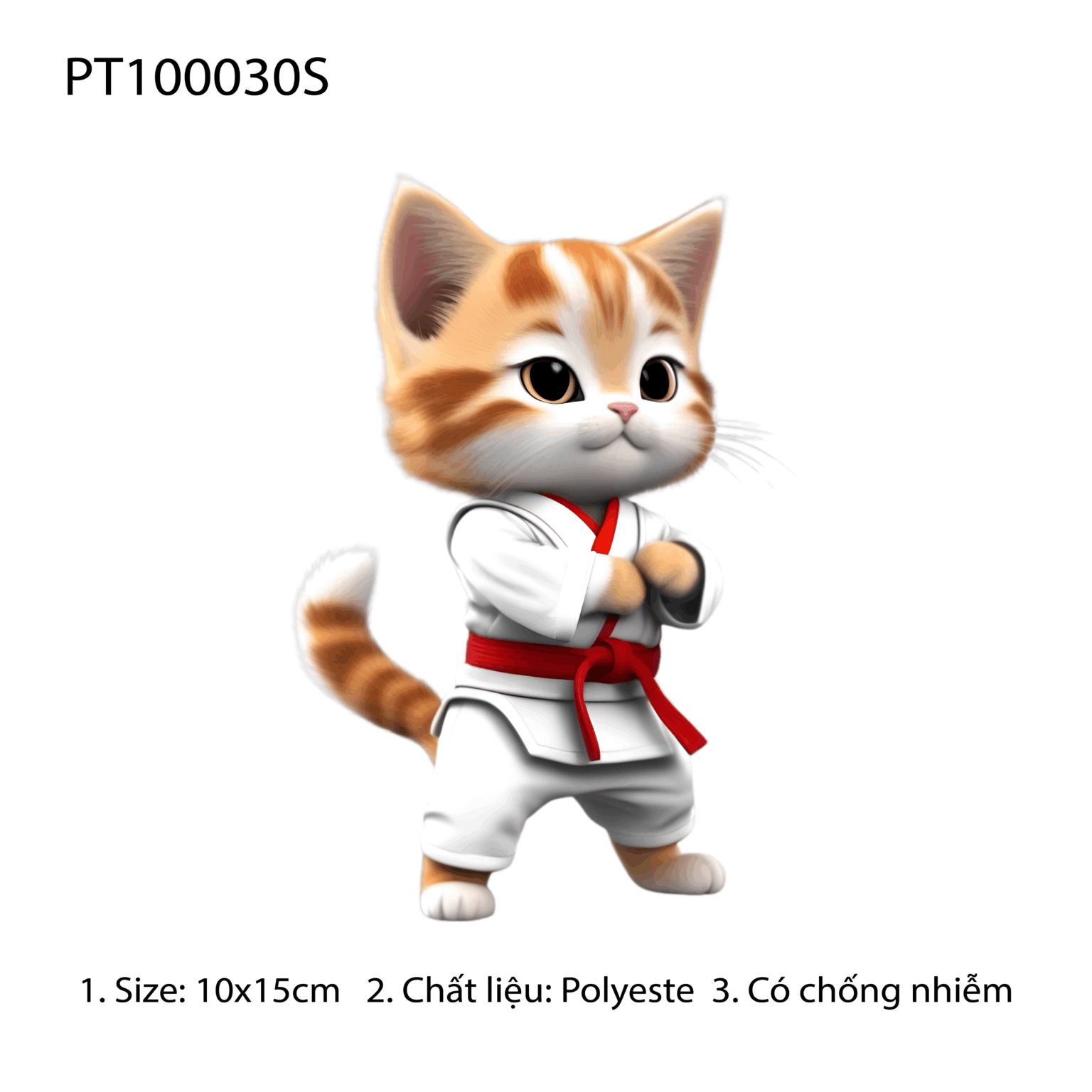 PT100030S