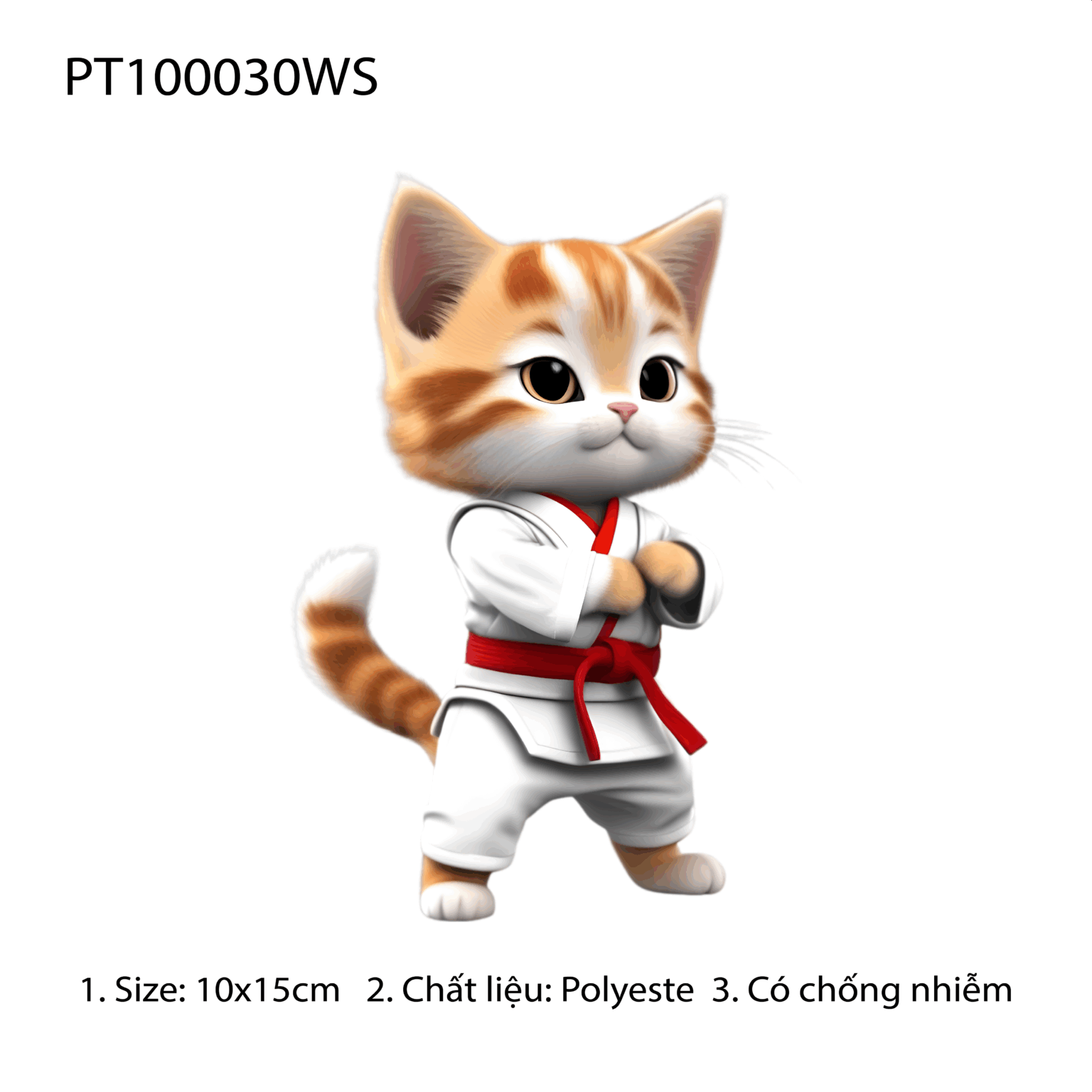 PT100030WS