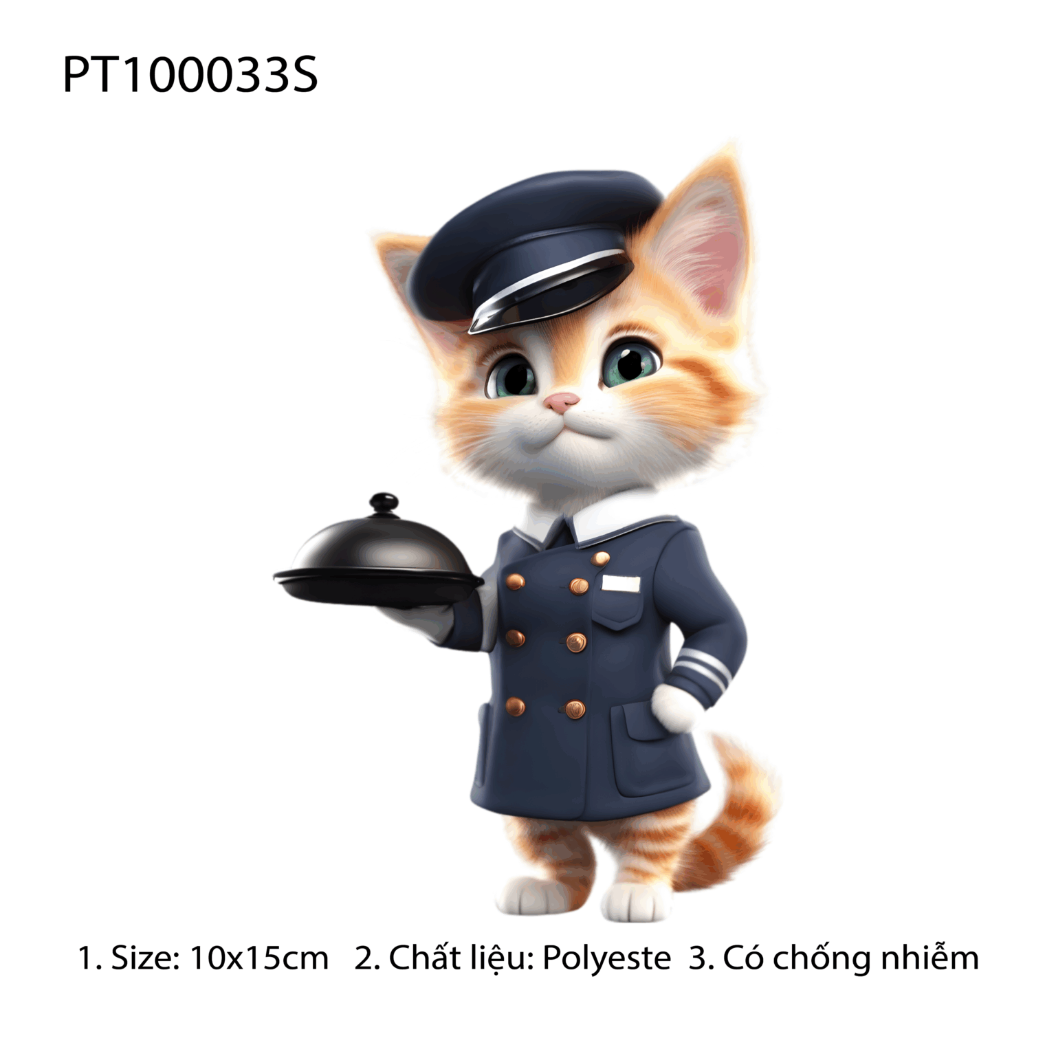 PT100033S