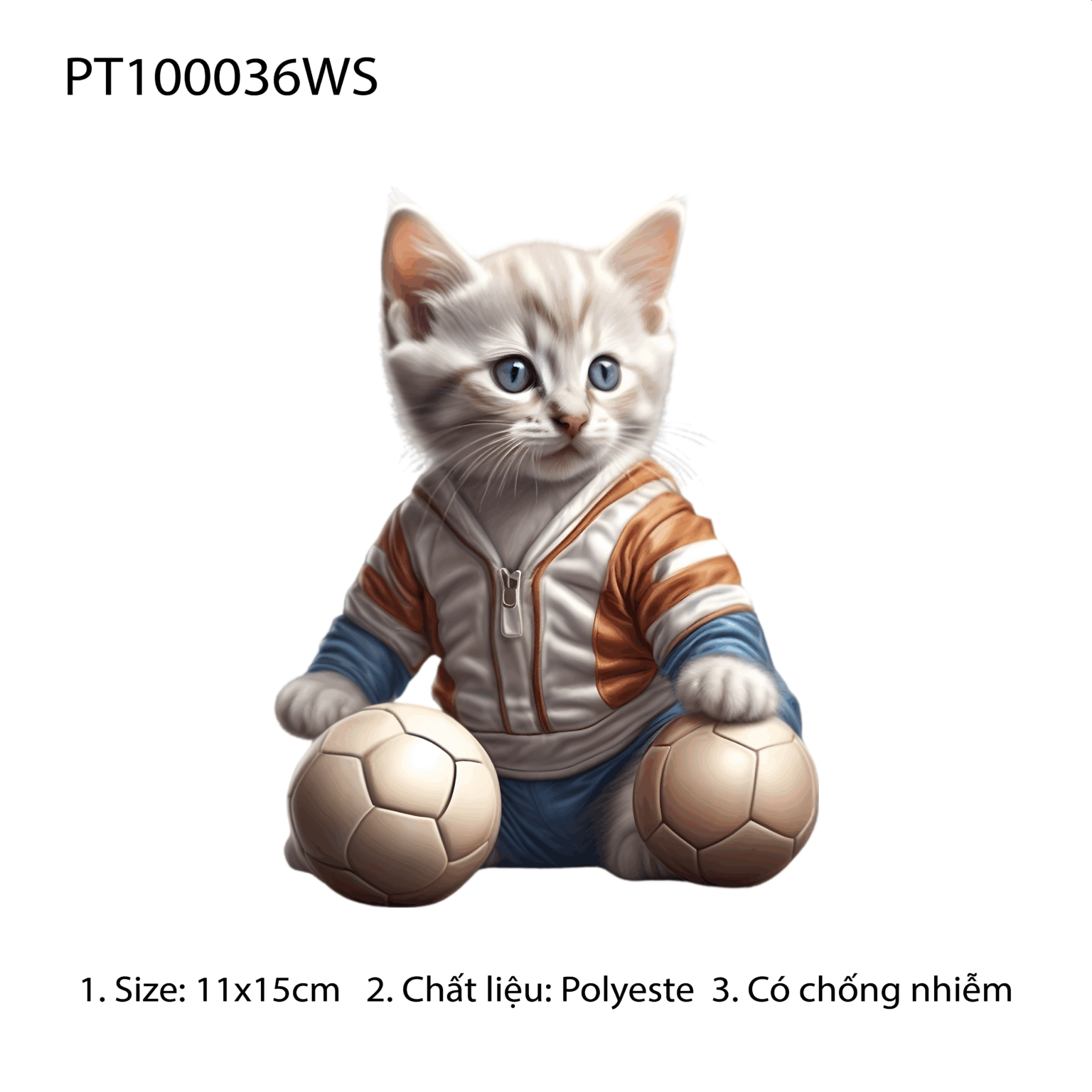 PT100036WS