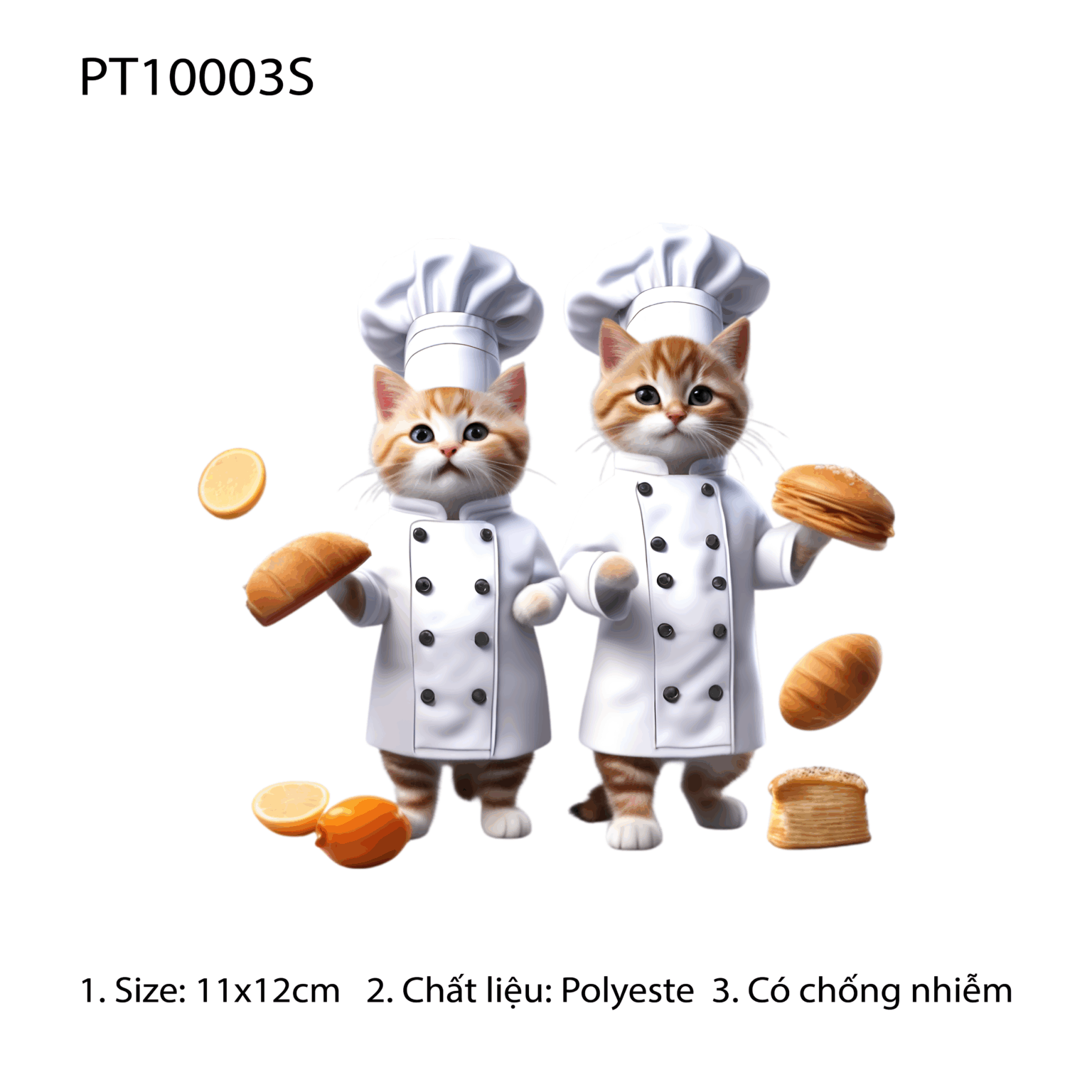 PT10003S