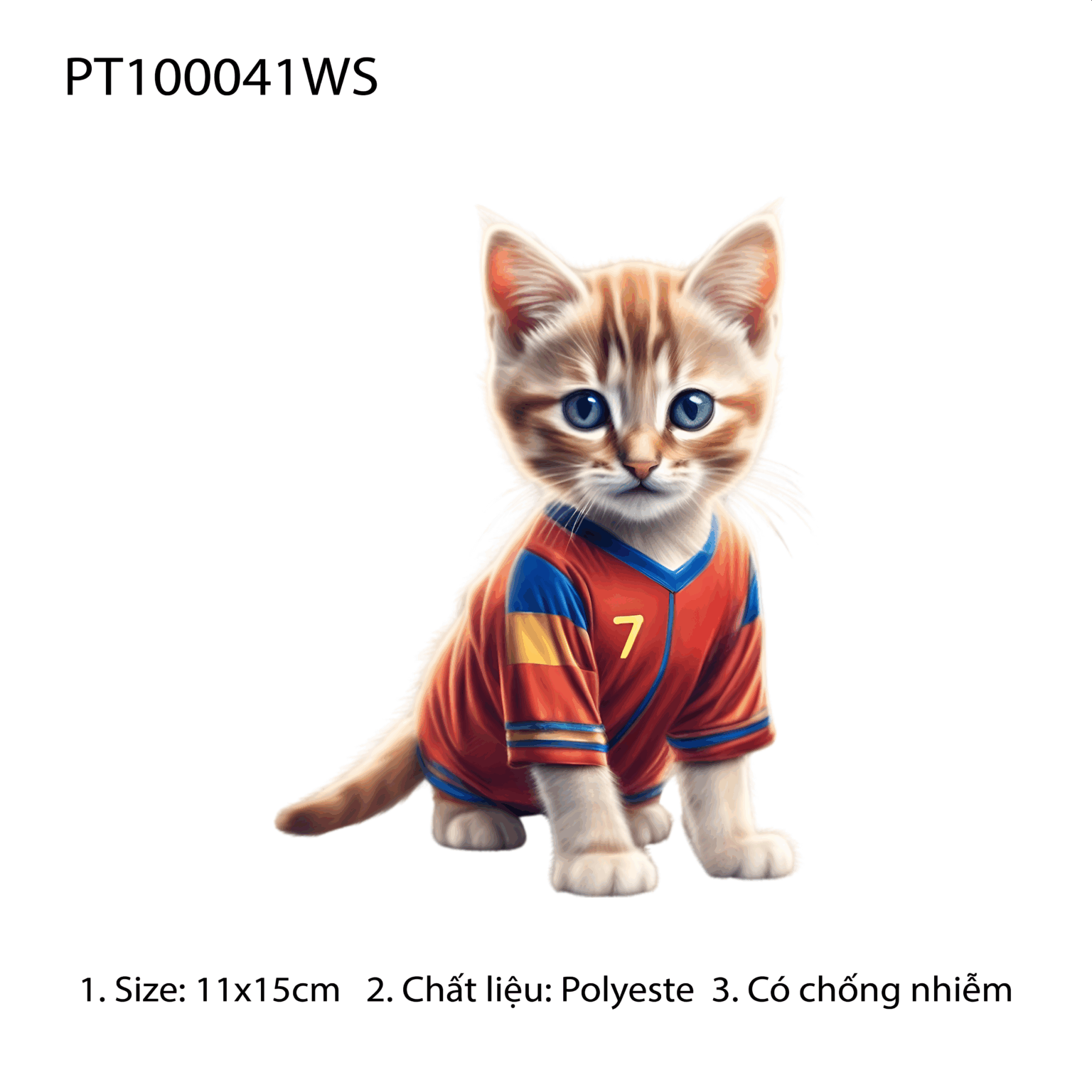 PT100041WS