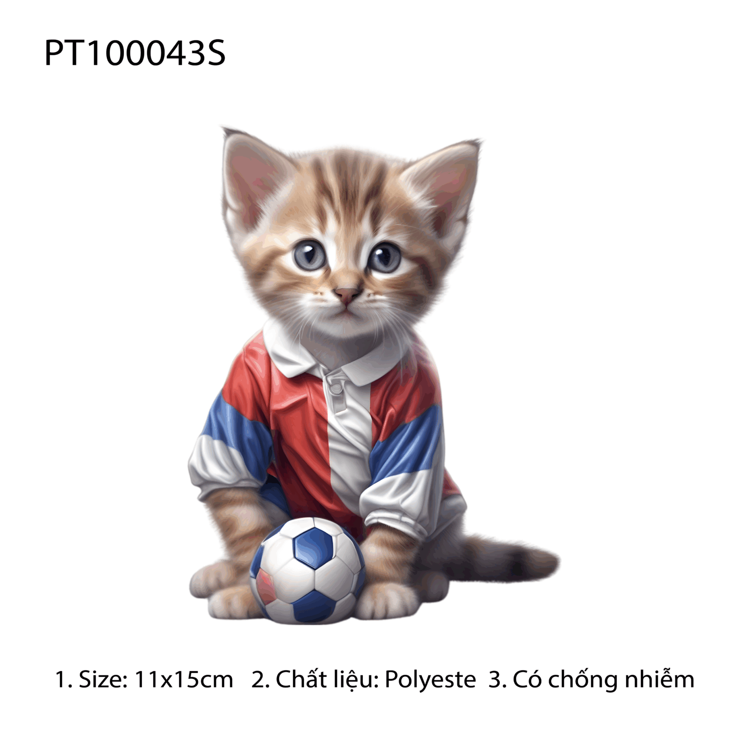 PT100043S