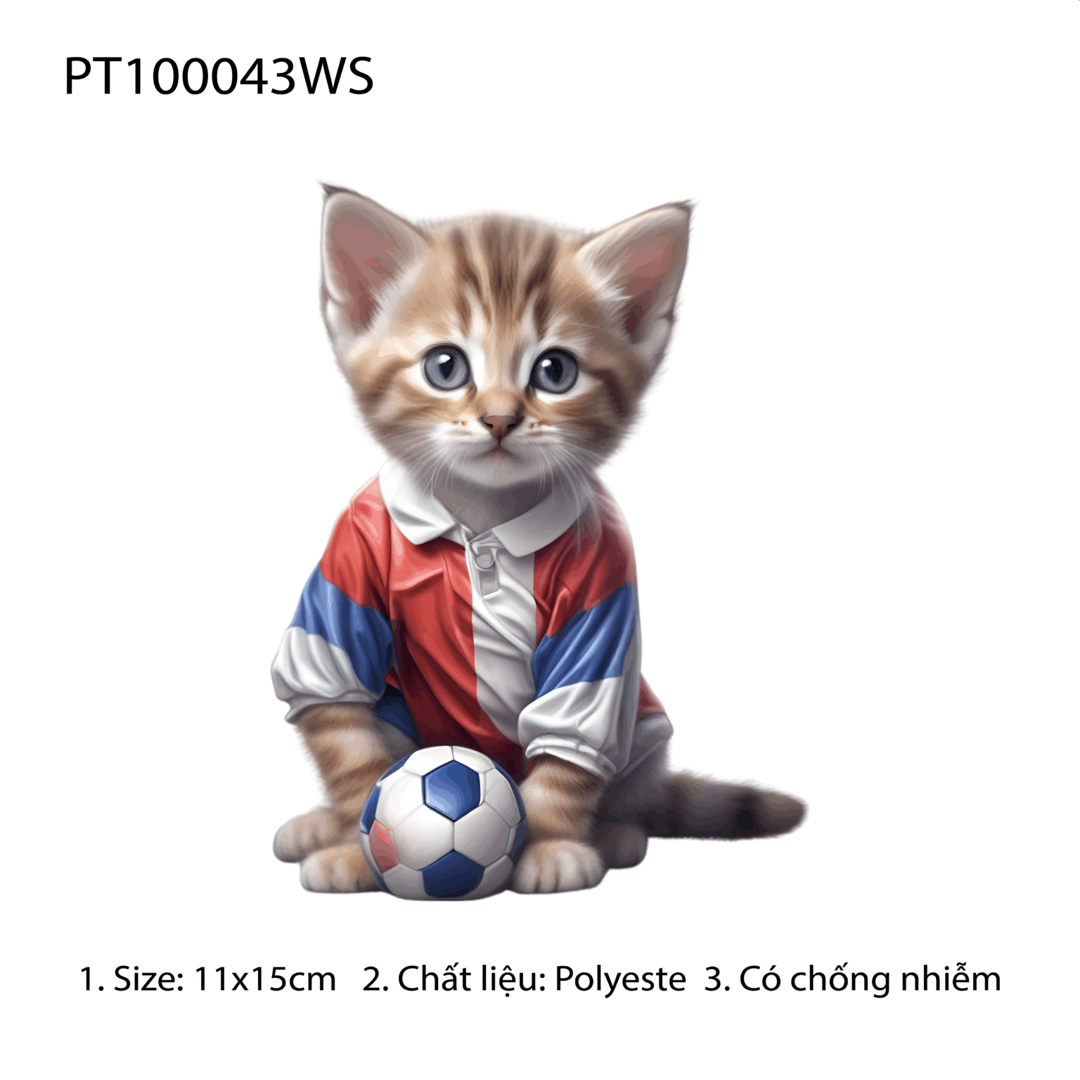 PT100043WS