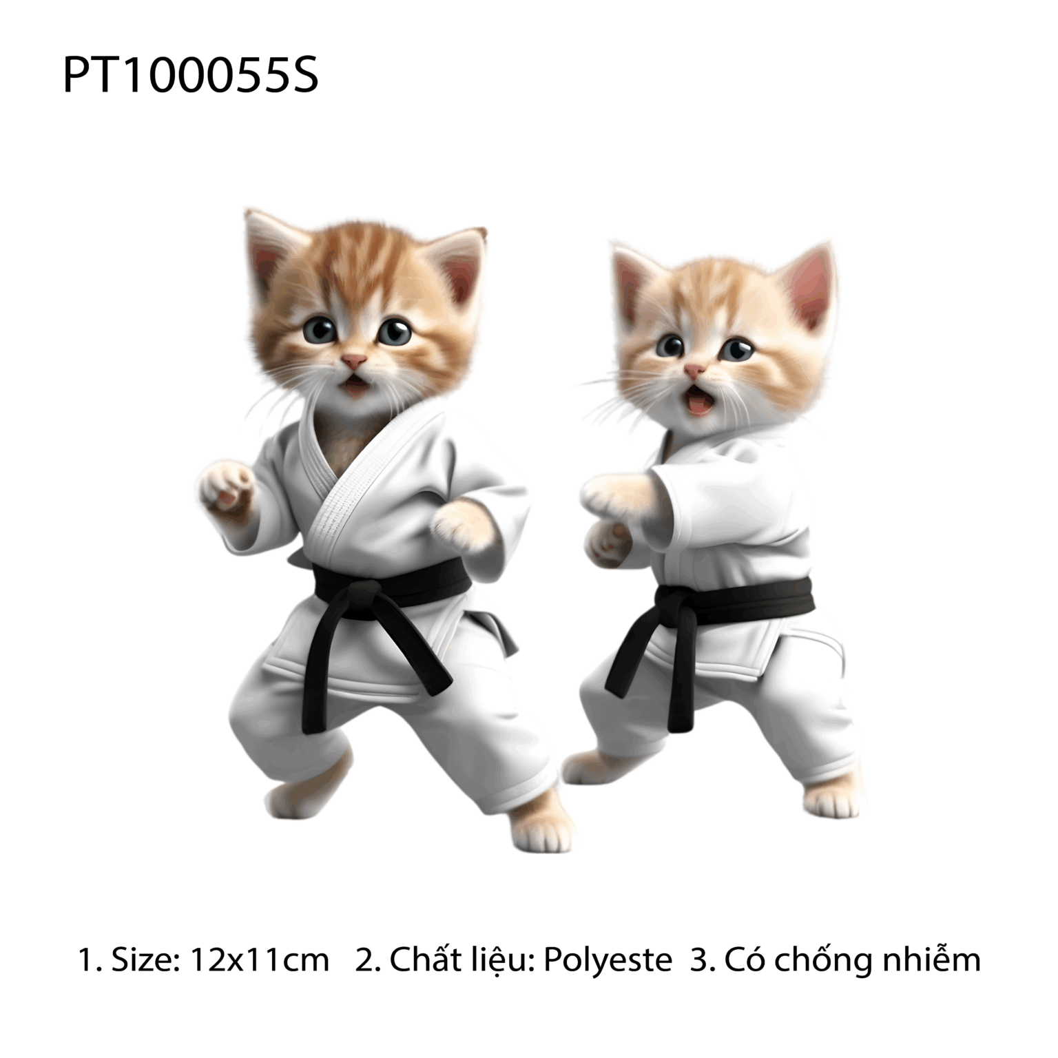 PT100055S