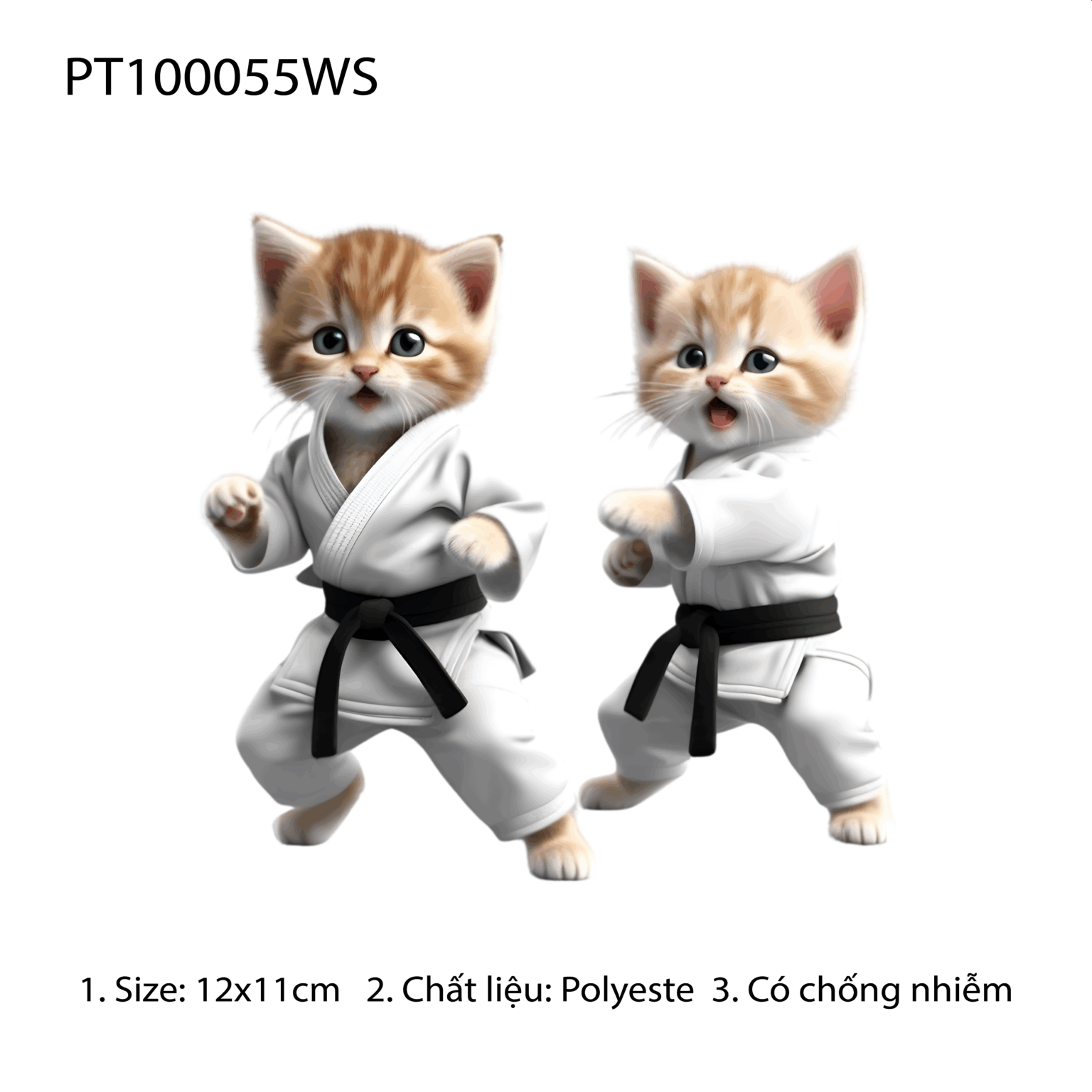 PT100055WS