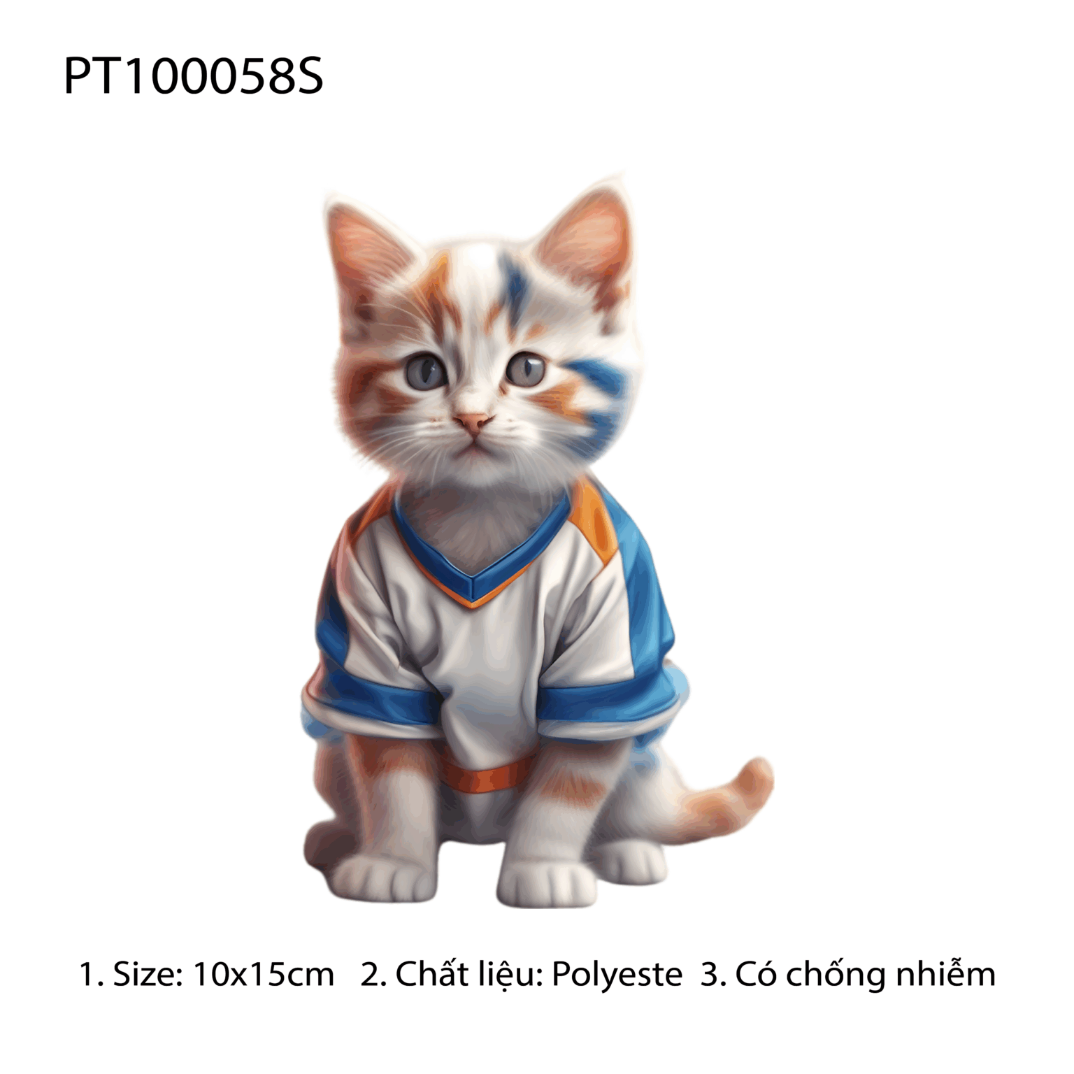 PT100058S