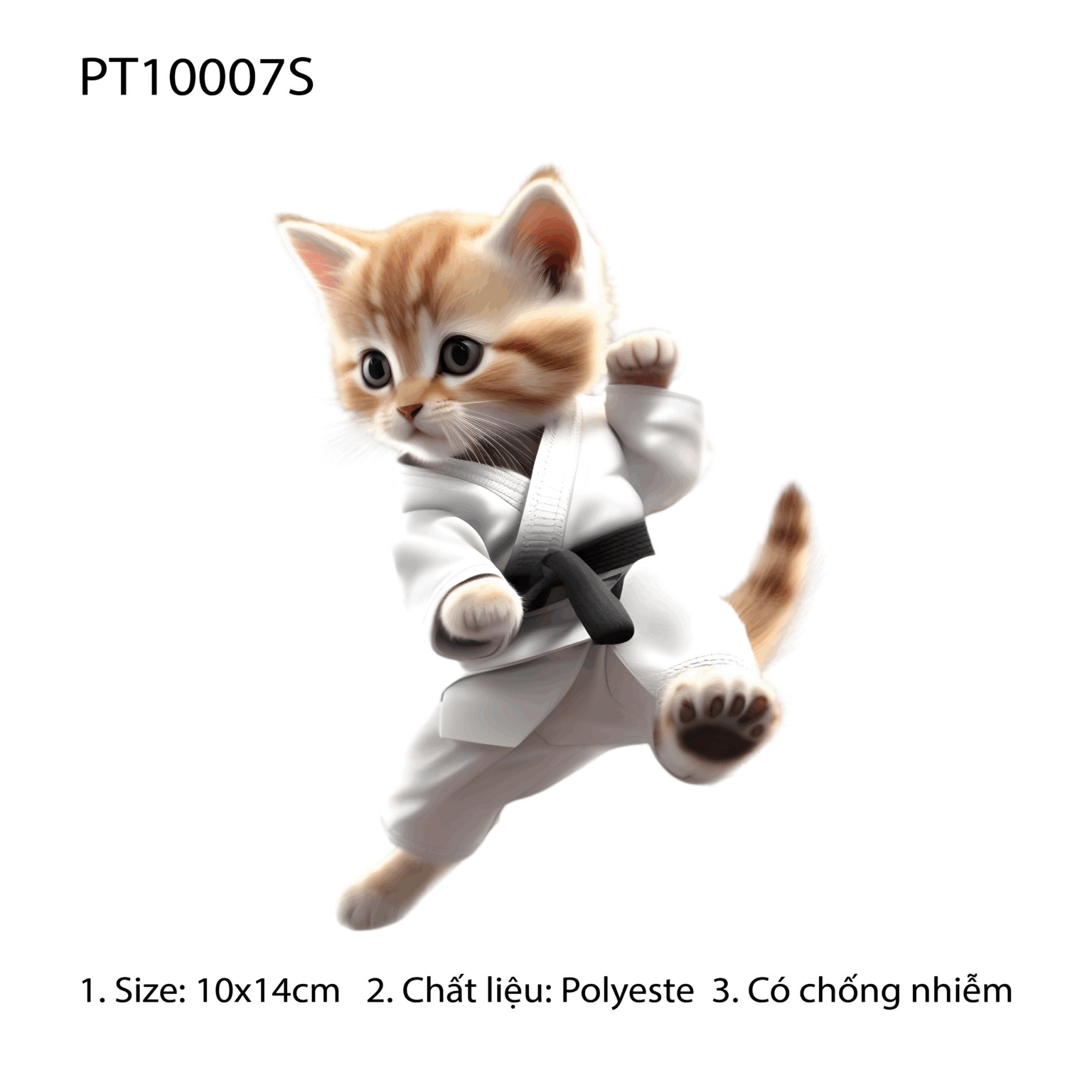 PT10007S